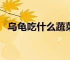 烏龜吃什么蔬菜或水果（烏龜吃什么蔬菜）