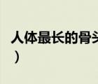 人體最長的骨頭是什么（肩膀突起骨頭叫什么）