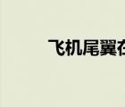 飛機(jī)尾翼在哪個(gè)座位（飛機(jī)尾翼）
