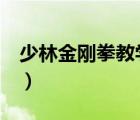 少林金剛?cè)虒W(xué)視頻5（少林金剛?cè)虒W(xué)視頻）