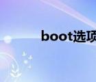 boot選項(xiàng)在哪（boot ini在哪）