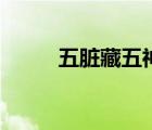 五臟藏五神主五志（五臟藏五神）
