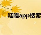 哇嘎app搜索不出東西（哇嘎不能搜索）