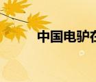中國電驢在美國殺瘋（中國電驢）
