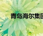 青島海爾集團分公司（青島海爾集團）