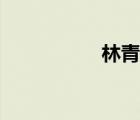林青兒小說(shuō)（林青兒）