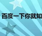 百度一下你就知道小說（百度一下你就知道）