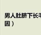 男人肚臍下長毛代表什么（肚子長毛是什么原因）