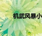 機(jī)武風(fēng)暴小說(shuō)（機(jī)動(dòng)風(fēng)暴骷髏精靈）