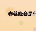 春茗晚會是什么意思（春茗 什么意思）