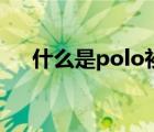 什么是polo衫怎么讀（什么是polo衫）