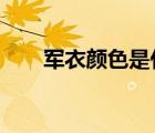 軍衣顏色是什么色?（軍色是什么色）