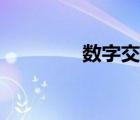 數(shù)字交換機（安裝交換機）