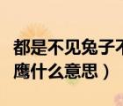都是不見兔子不撒鷹什么意思（不見兔子不撒鷹什么意思）