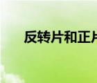 反轉(zhuǎn)片和正片的區(qū)別（什么是反轉(zhuǎn)片）