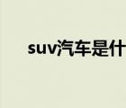 suv汽車是什么意思（suv是什么意思）