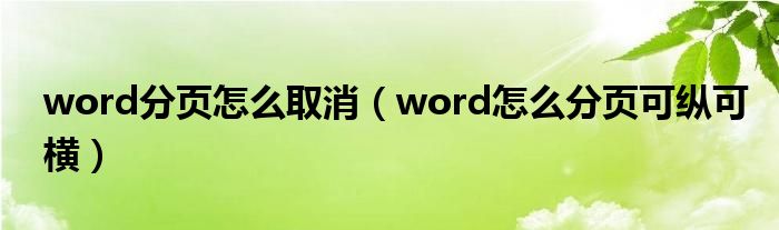 word分頁怎么取消（word怎么分頁可縱可橫）