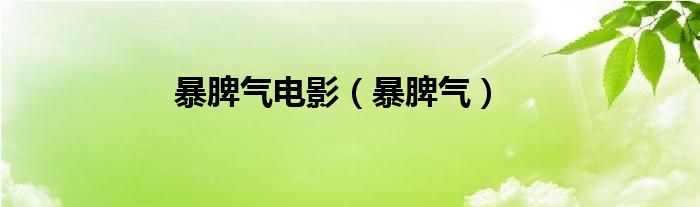 暴脾氣電影（暴脾氣）