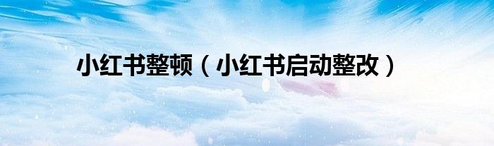 小紅書整頓（小紅書啟動整改）