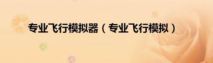 專業(yè)飛行模擬器（專業(yè)飛行模擬）