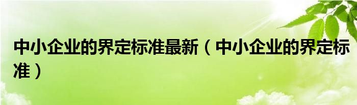 中小企業(yè)的界定標準最新（中小企業(yè)的界定標準）