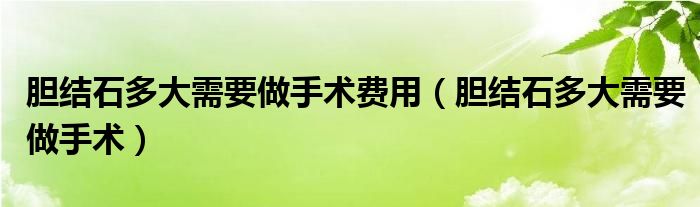 膽結(jié)石多大需要做手術(shù)費(fèi)用（膽結(jié)石多大需要做手術(shù)）
