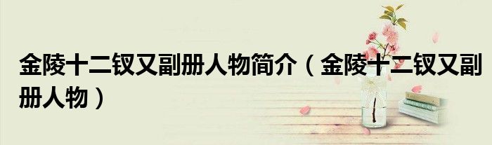 金陵十二釵又副冊人物簡介（金陵十二釵又副冊人物）