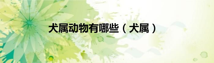 犬屬動物有哪些（犬屬）