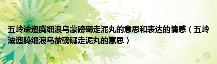 五嶺逶迤騰細(xì)浪烏蒙磅礴走泥丸的意思和表達(dá)的情感（五嶺逶迤騰細(xì)浪烏蒙磅礴走泥丸的意思）