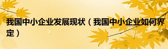 我國中小企業(yè)發(fā)展現(xiàn)狀（我國中小企業(yè)如何界定）
