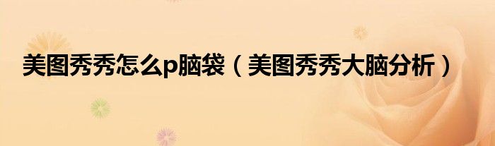 美圖秀秀怎么p腦袋（美圖秀秀大腦分析）