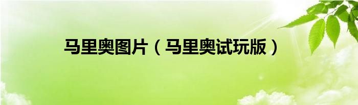 馬里奧圖片（馬里奧試玩版）
