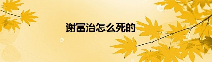 謝富治怎么死的