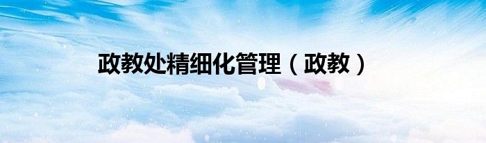 政教處精細化管理（政教）