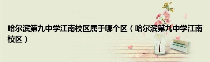 哈爾濱第九中學(xué)江南校區(qū)屬于哪個(gè)區(qū)（哈爾濱第九中學(xué)江南校區(qū)）