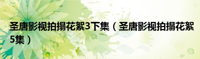 圣唐影視拍搨花絮3下集（圣唐影視拍搨花絮5集）