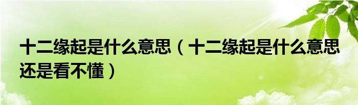 十二緣起是什么意思（十二緣起是什么意思 還是看不懂）