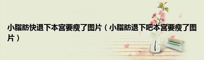 小脂肪快退下本宮要瘦了圖片（小脂肪退下吧本宮要瘦了圖片）