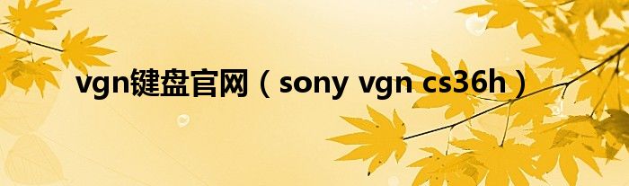vgn鍵盤官網(wǎng)（sony vgn cs36h）