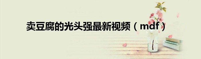 賣豆腐的光頭強(qiáng)最新視頻（mdf）