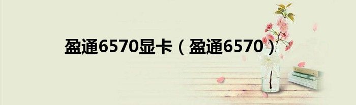 盈通6570顯卡（盈通6570）