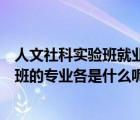 人文社科實驗班就業(yè)方向（人文科學(xué)實驗班跟社會科學(xué)實驗班的專業(yè)各是什么呢）