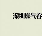 深圳燃?xì)饪头娫挘ㄉ钲谌細(xì)怆娫挘?/>
                                    </a>
                                                </div>
                                    <div   id=