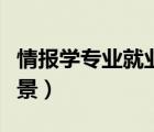 情報(bào)學(xué)專業(yè)就業(yè)前景分析（情報(bào)學(xué)專業(yè)就業(yè)前景）