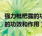 強(qiáng)力枇杷露的功效與作用及禁忌（強(qiáng)力枇杷露的功效和作用）