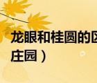 龍眼和桂圓的區(qū)別螞蟻莊園（龍眼和桂圓螞蟻莊園）