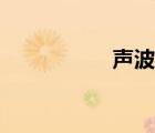 聲波魚圖片（聲波魚）