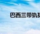 巴西三帶犰狳怎么讀（巴西三帶犰狳）