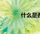 什么是西皮（什么是西涼軍）