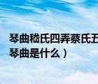 琴曲嵇氏四弄蔡氏五弄的創(chuàng)作者分別是（被稱為 嵇氏四弄的琴曲是什么）